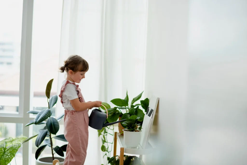 Minimalist Lifestyle: Why Having Less Can Make You Happier